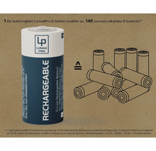 Lumak Pro D-batteri, uppladdningsbart