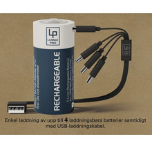 Lumak Pro D litiumjonbatteri med USB-laddningskabel för att ladda upp till fyra batterier samtidigt