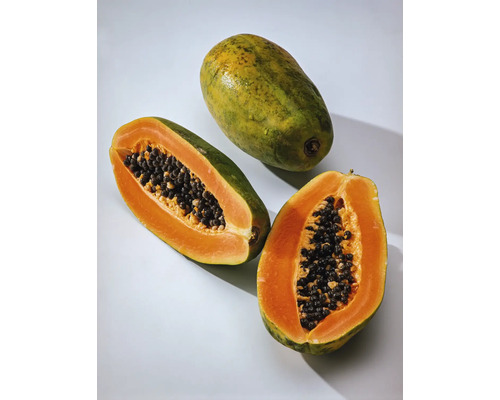 Ekologisk Papaya FLORASELF Bio Carica papaya 'Sunnybees®' Co 3L