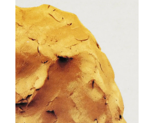 Närbild av en texturerad yta