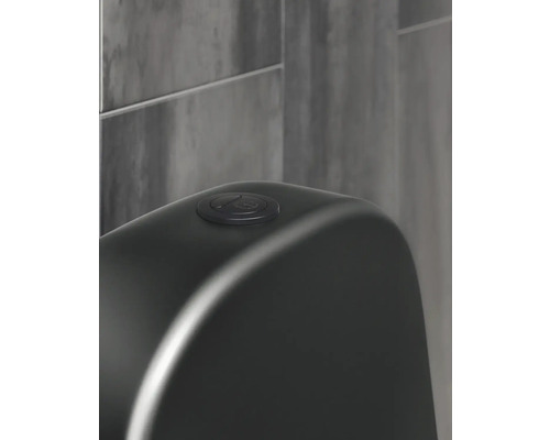 Detaljbild av en toalettspolning