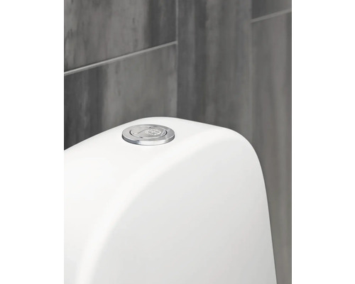 Närbild av en toalett med spolknapp