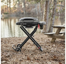Bärbar Weber gasolgrill med fällbar ram för utomhusbruk