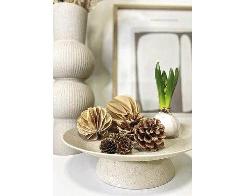 Dekorativ bricka med kottar, pappersdekorationer och en hyacint.