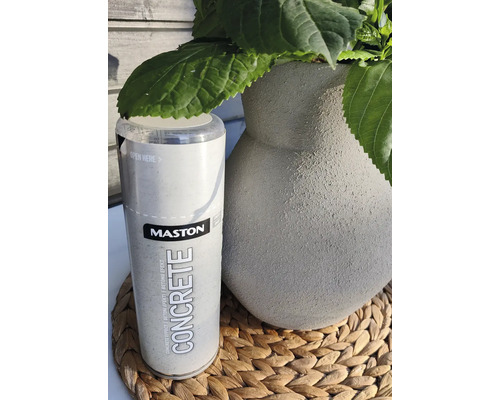 Mastons Concrete Effect sprayburk bredvid en kruka med gröna växter