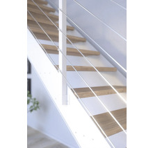 Trappa med trätrappsteg och räcke med rostfria vajrar