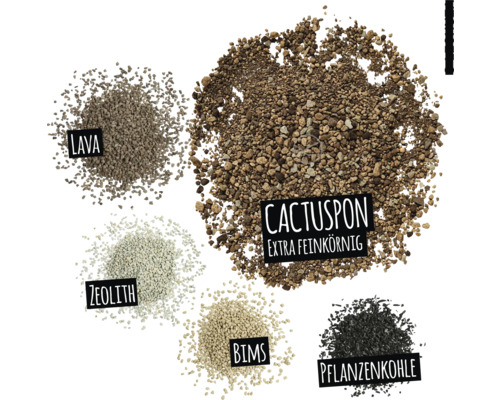 Bild av olika tillsatsmaterial för planteringsjord: lava, zeolit, pimpsten, träkol och extra finkornig cactuspon