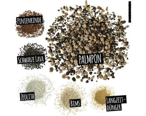 Presentation av olika tillsatsmaterial för växtsubstrat: tallbark, svart lava, zeolit, pimpsten, långtidsverkande gödsel och palmpone