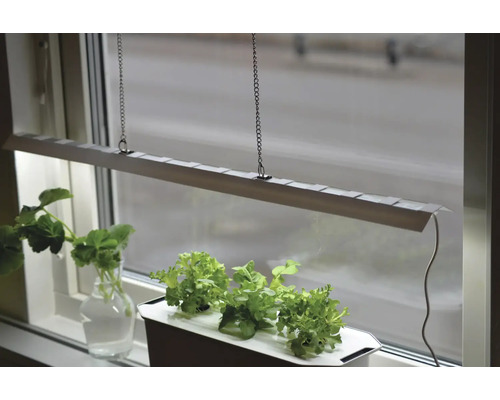 Växtlampa med örter på en fönsterbräda