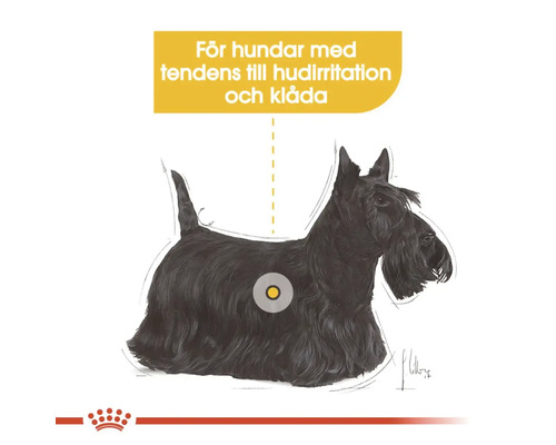 Illustration av en hund med tendens till hudirritationer