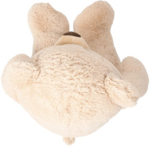 Nallebjörn bakifrån