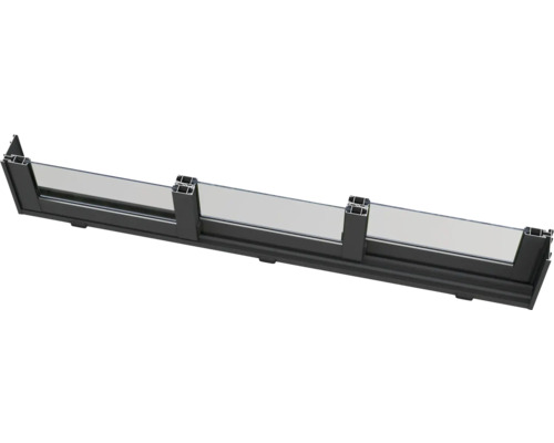 Svart glasräckesprofil