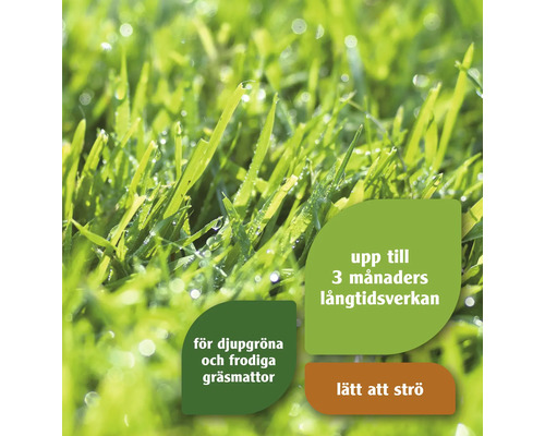 Närbild av gräs med hänvisning till upp till 3 månaders långtidseffekt
