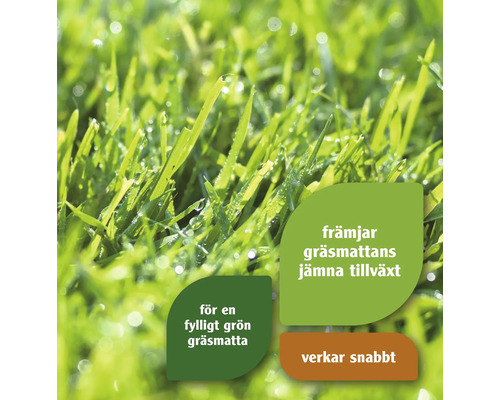 Närbild av gräs med information om grästillväxt och snabb effekt