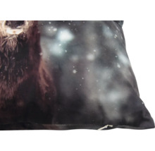 Dekorativ kudde med björnmotiv och stjärnhimmel