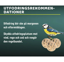 Rekommendationer för fågelmatning med blåmes och talgbollar
