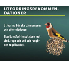 Information om fågelmatning med rekommendationer och en steglits som sitter på en foderboll.