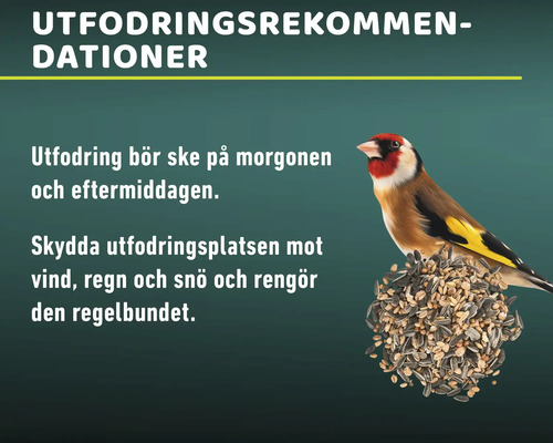 Information om fågelmatning med rekommendationer och en steglits som sitter på en foderboll.