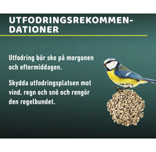 Rekommendationer för fågelmatning med text och en blåmes på en matningsboll