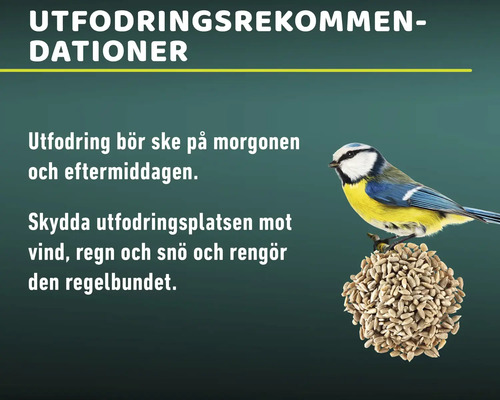 Rekommendationer för fågelmatning med text och en blåmes på en matningsboll