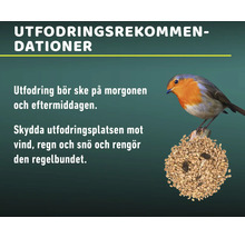 Information om fågelmatning med utfodringsrekommendationer