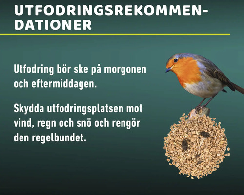 Information om fågelmatning med utfodringsrekommendationer