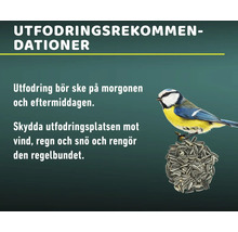 Rekommendationer för fågelmatning: Mata på morgonen och eftermiddagen. Skydda matplatsen från vind, regn och snö och rengör den regelbundet.