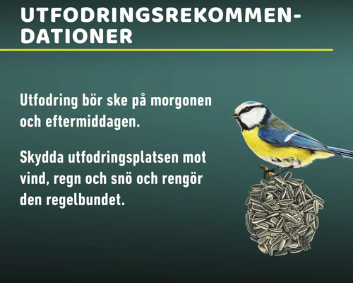 Rekommendationer för fågelmatning: Mata på morgonen och eftermiddagen. Skydda matplatsen från vind, regn och snö och rengör den regelbundet.