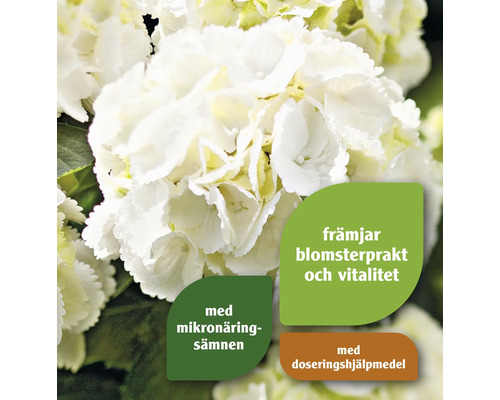 Närbild av en vit hortensiablomma med produktinformation om mikronäringsämnen och doseringshjälpmedel