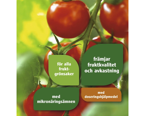 Tomatplanta med information om växtnäring för att främja fruktkvalitet och avkastning för alla typer av frukt och grönsaker.