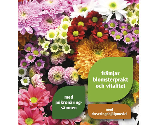 Blomsterarrangemang med olika krysantemum och hänvisningar till mikronäringsämnen och doseringshjälpmedel