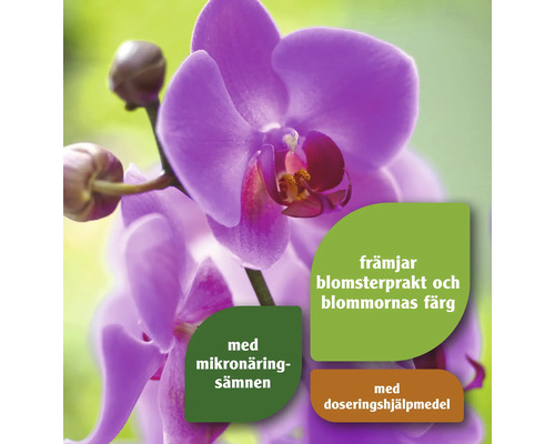 Orkidé med information om mikronäringsämnen och doseringshjälpmedel för att främja blomning och blomfärg