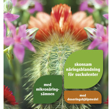 Bild av en suckulent växt med blommor och information om en näringsblandning