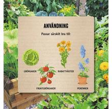 Illustration av grönsaker, rabattväxter, fruktgrönsaker och perenner
