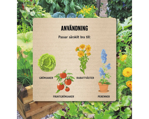 Illustration av grönsaker, rabattväxter, fruktgrönsaker och perenner