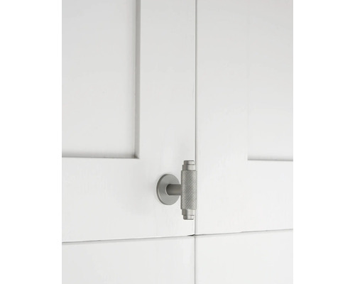 Skåpdörr med handtag