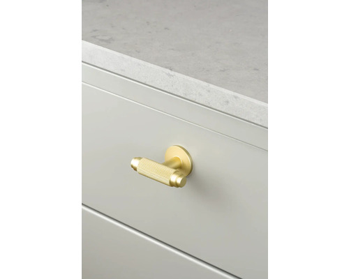 Gyllene möbelhandtag på en låda