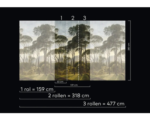 Mått på fototapeten med skog och träd