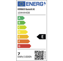 Globlampa FLAIR LED G95 E27 7W(60W) 806lm 4000K neutralvit dimbar klar