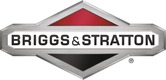 Briggs & Stratton Briggs & Stratton