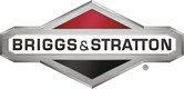 Briggs & Stratton