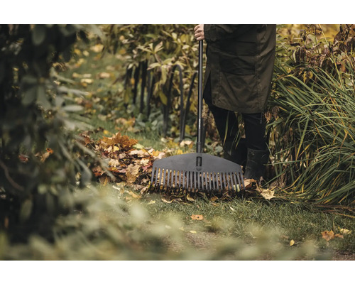 Person med lövräfsa i trädgården, höstlöv