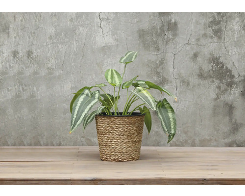 Konstgjord växt i flätad kruka för dekoration