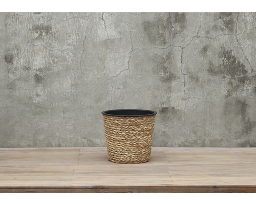 Blomkruka av vattenhyacint med svart plastinsats