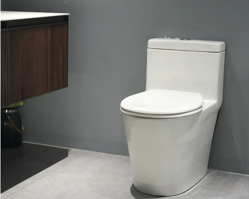 Toalett med cistern i ett badrum.