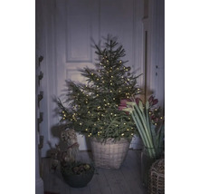 Julgran med ljusslinga i en korg i ett rum