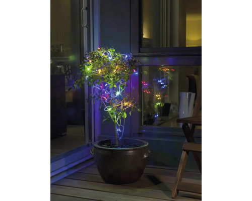 Växt i kruka med ljusslinga på en balkong