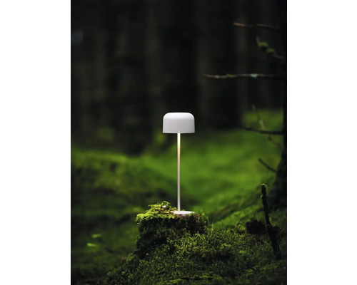 Dekorativ bordslampa på en trädstubbe i skogen