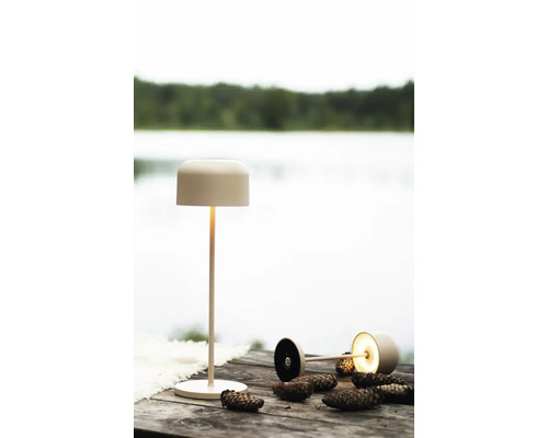 Två golvlampor i metall med en sjö i bakgrunden.