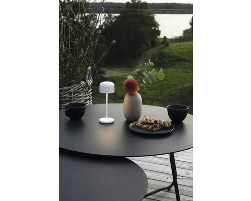 Dekorativt trädgårdsbord med lampa, porslin och mat utomhus